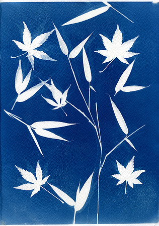 Zen leaves