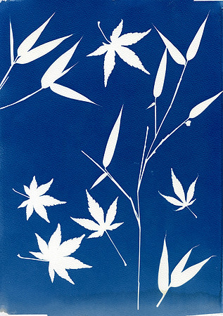 Zen leaves #2