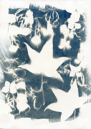 First cyanotype